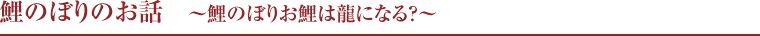 京雛・皇宮雛　〜こだわりの美学〜